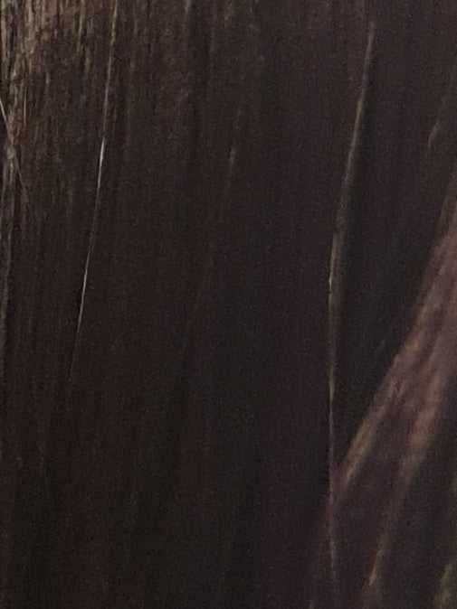 Dark Violet Lace Front Wig